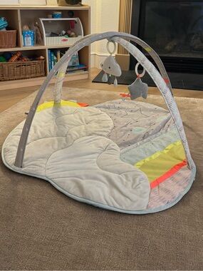 Skip Hop Neutral Gray & Pastel Baby Play Gym with Hanging Toys
